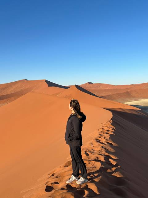 Person standing on a sand dune with vast desert landscape.