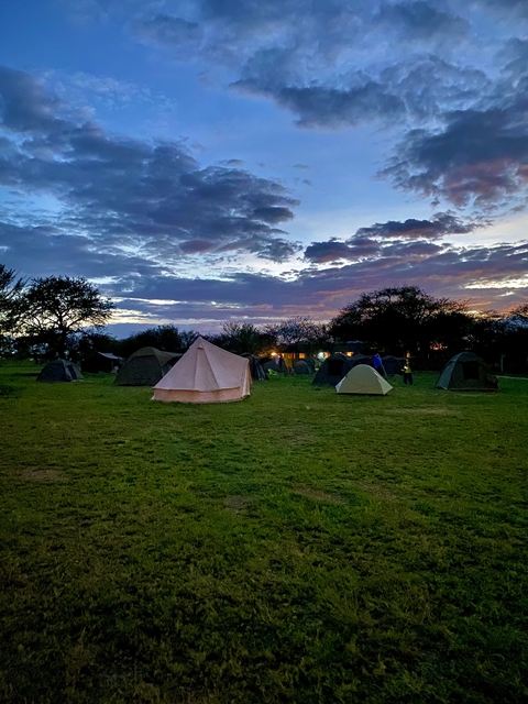       Tents set up in a field, with people visible, under an evening sky.
  