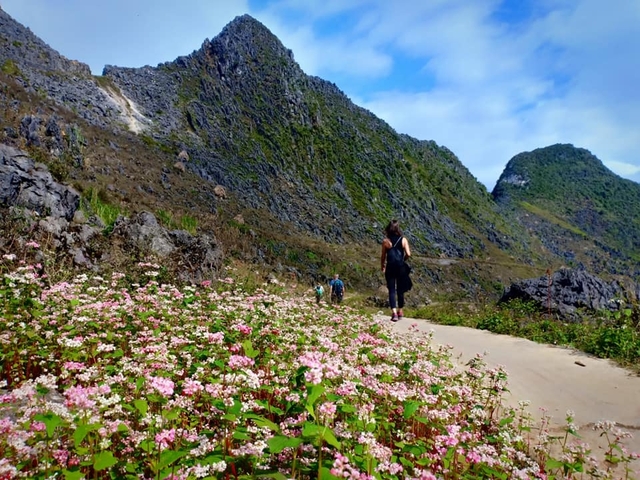       Photo d'avis client sur Majesté du Nord intact du Vietnam 6 jours - Circuit privé 
  