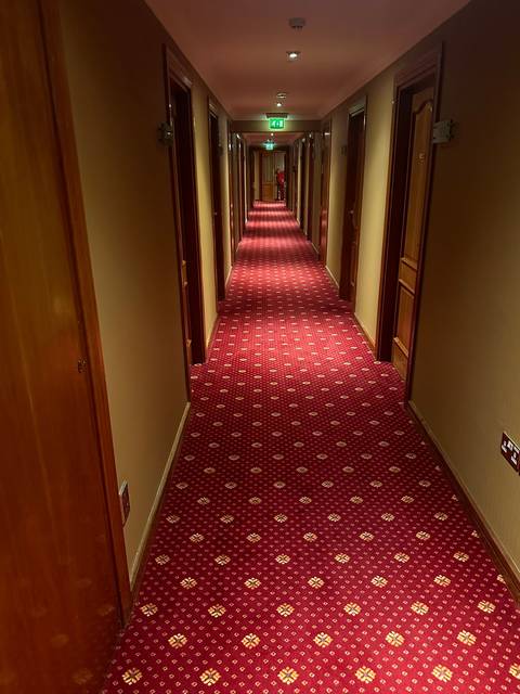 Hotel corridor with a patterned carpet and doors on the side.