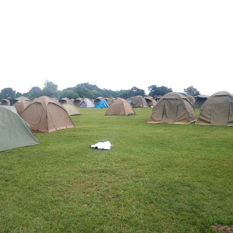 Many tents set up in an open grassy area.