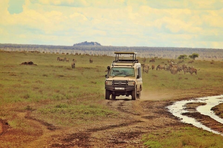 Klantbeoordelingsfoto van 8-daagse rondreis: Arusha Nationaal park, Lake Manyara, Serengeti, Tarangire & Ngorongoro krater 