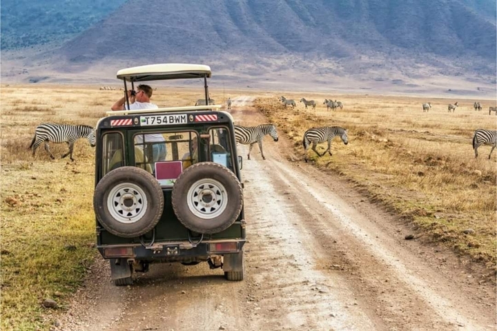 Safari vehicle on a dirt road with zebras crossing.