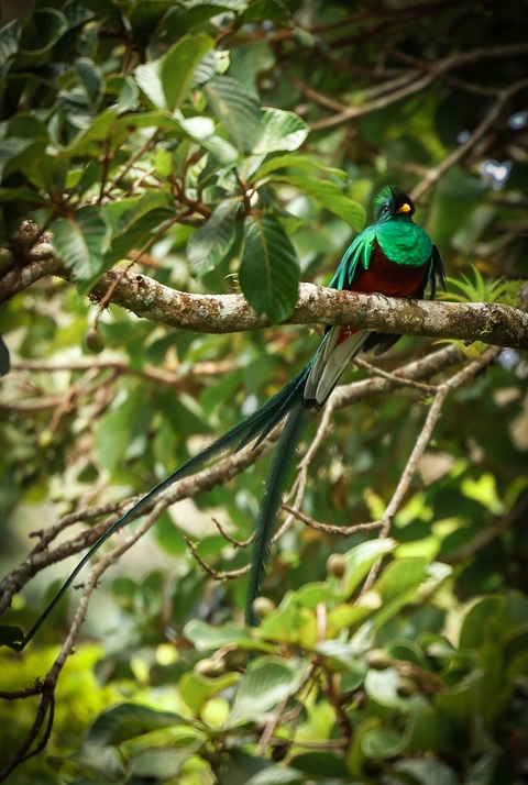 Itinerary Image 9