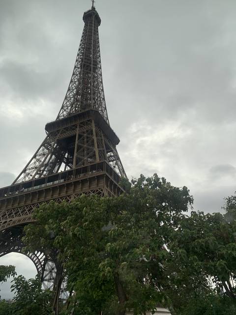       A view of the Eiffel Tower with tree branches.
  