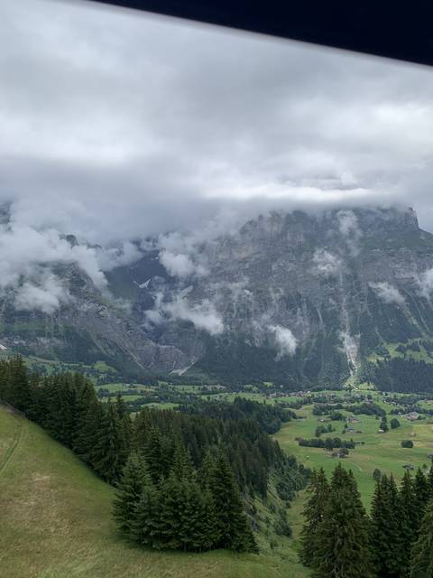       A scenic view of a valley with mist and greenery.
  