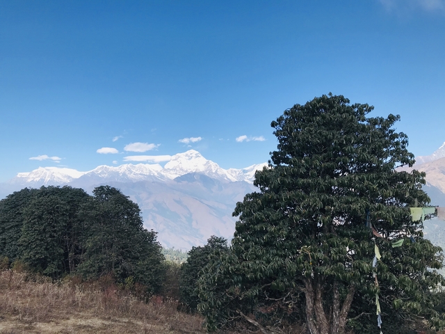       Forested mountain landscape with distant peaks.
  
