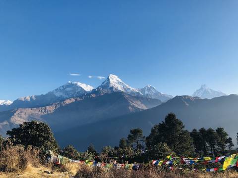       Iconic mountain range with trees in the foreground.
  