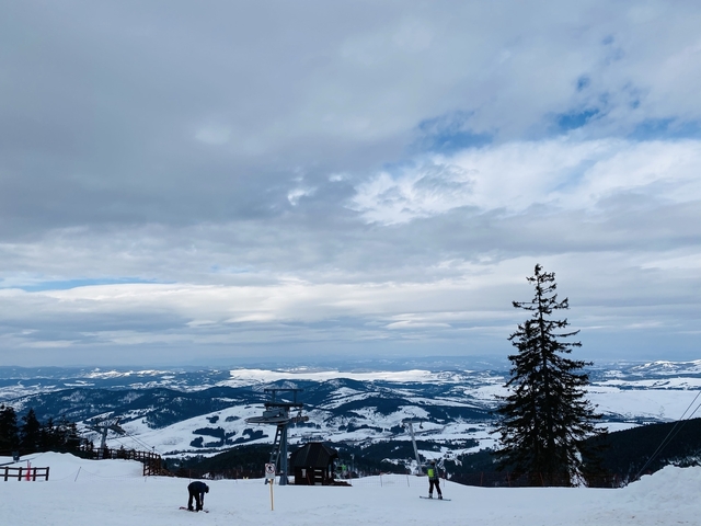       Snow-covered landscape with mountains and a tree.
  