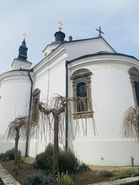       Close-up of a church wall with a tree in front.
  