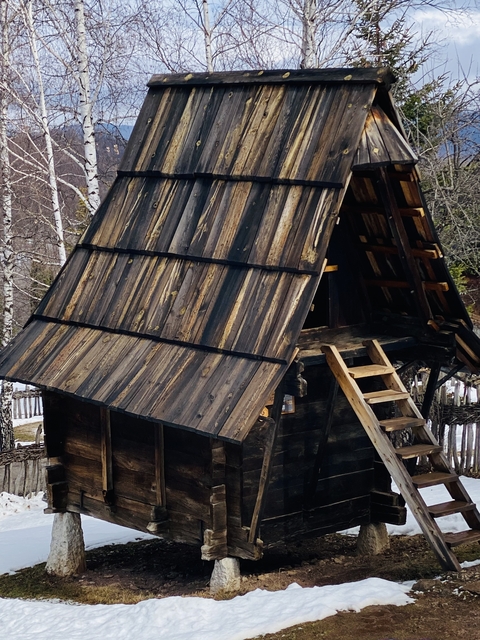       Wooden house with a steep roof and ladder.
  
