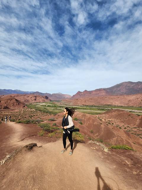 Person enjoying the view of a vast colorful valley and mountains.