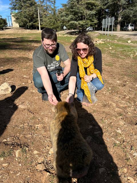 People interacting with an animal in an outdoor setting.