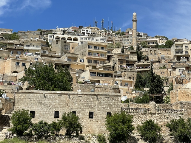       Cityscape with stone buildings on a hill.
  