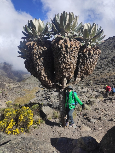       Hiker posing under a giant plant on a rugged landscape.
  