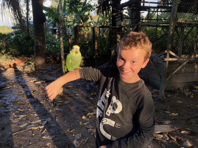 Boy with a parrot perched on his arm in a sunlit park area.