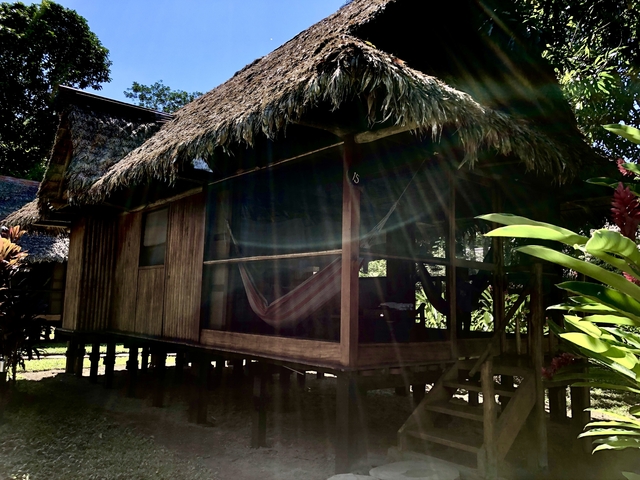 Wooden hut with a hammock on a sunny day