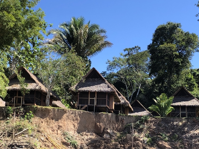 Rustic huts surrounded by dense greenery