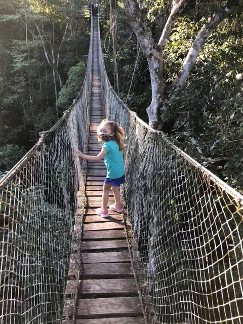 Child on a suspended rope bridge in a forest