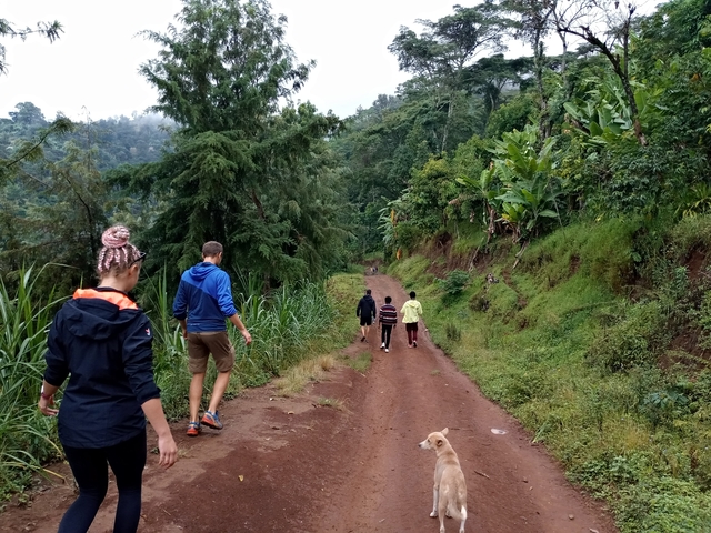 Group walking on a dirt path in a lush green forest.