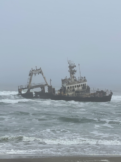      Shipwreck along the Skeleton Coast with seabirds.
  