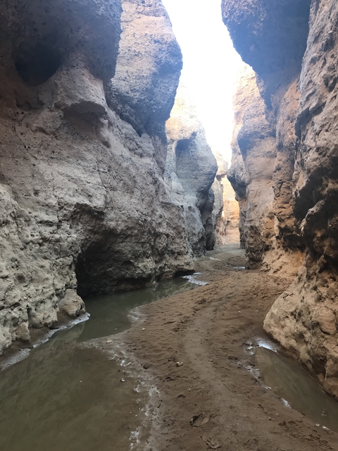       Narrow canyon with water pooling at the base.
  
