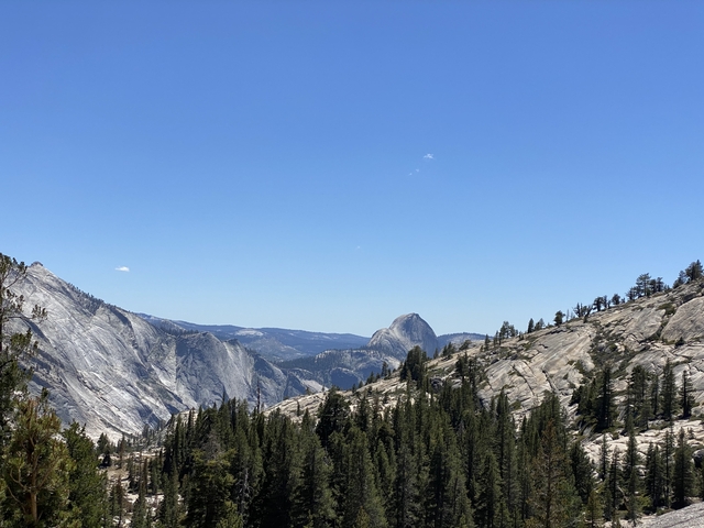 Famous Half Dome of Yosemite in the distance.