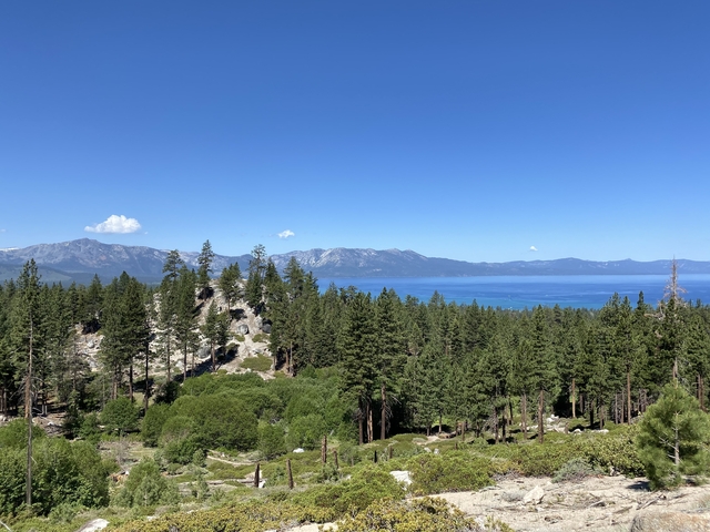       Lush forest with a lake and distant mountains.
  