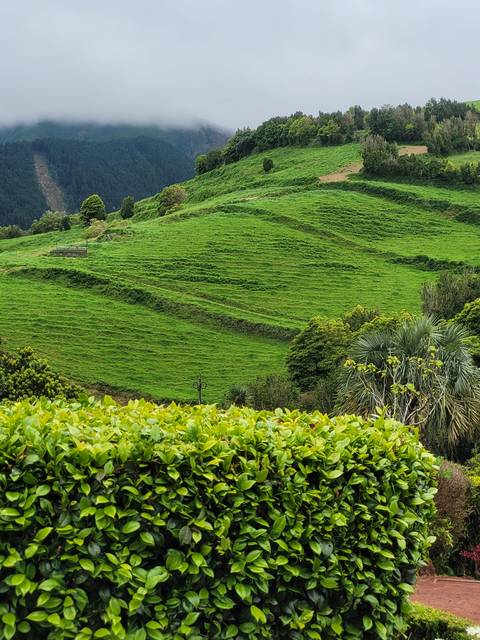       Lush green farmlands with a cloudy sky.
  