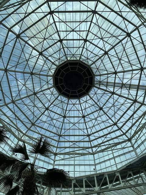       Glass dome ceiling with metal framework in a large atrium.
  