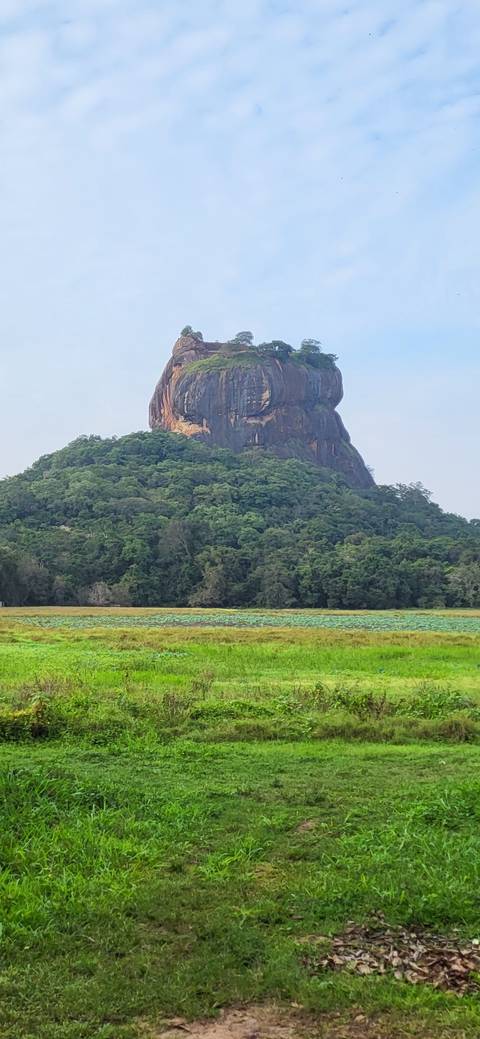       A famous rock with lush greenery.
  