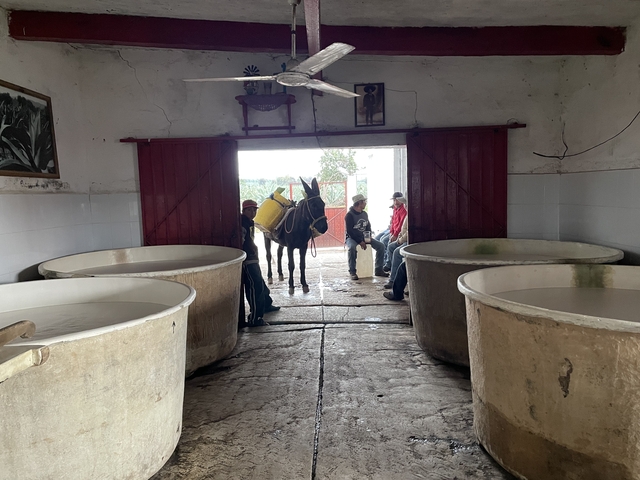       People and a horse inside a stable
  