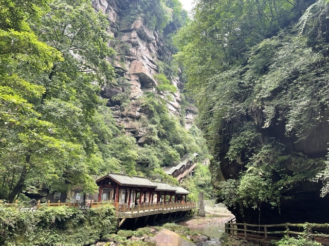       Pathway leading to structures amidst dense forest.
  