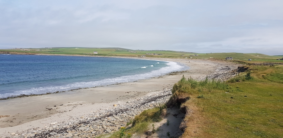       Coastal beach view with grassy land.
  