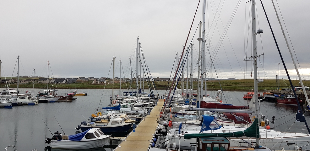       Dock with various moored boats.
  