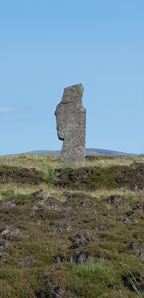 Close-up of a single standing stone in a field.
