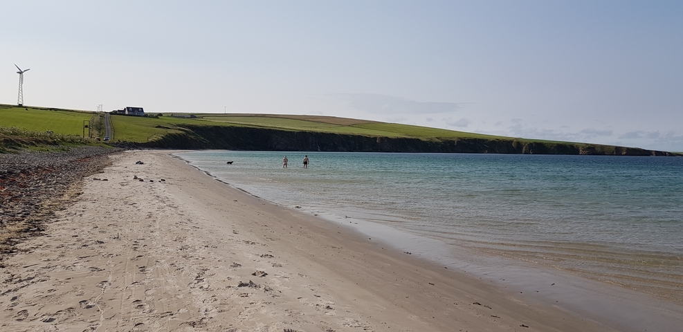       Beach with gentle waves and grassy cliffs.
  