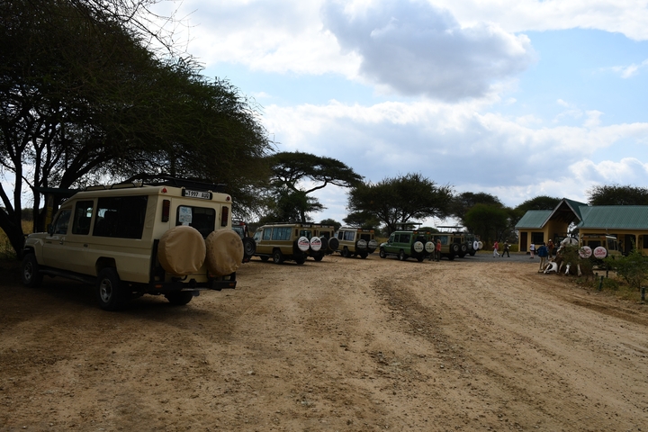       Parking area with safari vehicles and people gathering.
  