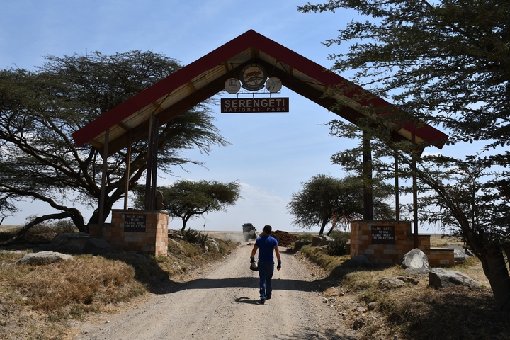       Entrance to Serengeti National Park with a pedestrian and vehicle visible.
  