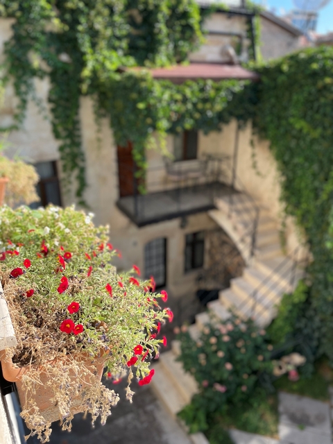 Flowers on a balcony with a building in the background.