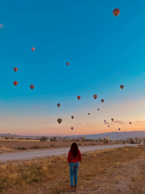       Hot air balloons floating over rocky landscape at sunrise.
  