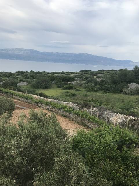 Coastal landscape with vegetation and mountains.