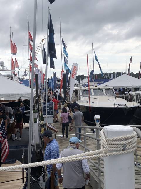 People exploring a marina with various boats.