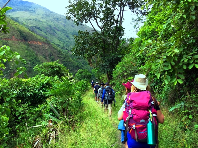       Hiking group in lush green terrain.
  