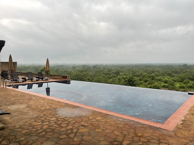 Infinity pool overlooking a forest.