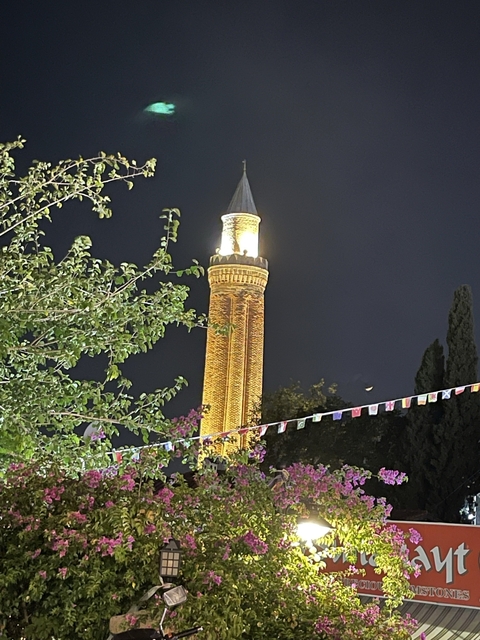       Lit tower at night surrounded by greenery.
  