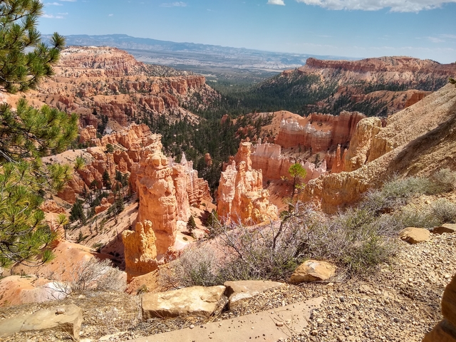 Expansive view of Bryce Canyon’s hoodoos with clear skies.