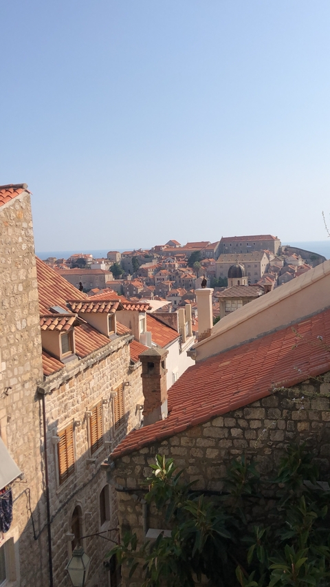       Rooftops of a historic city with a distant view of the sea.
  