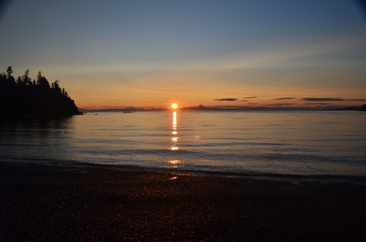       Sunset over a calm sea with silhouetted trees.
  