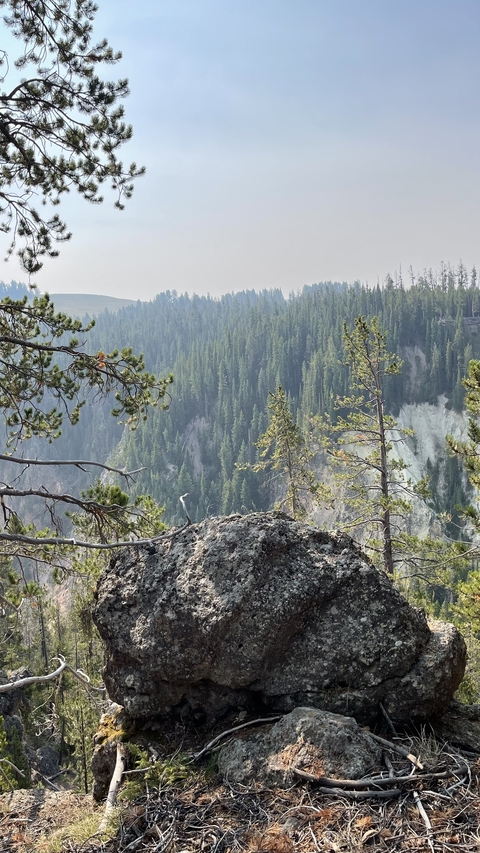       View from a rocky cliff of dense forest in a canyon.
  